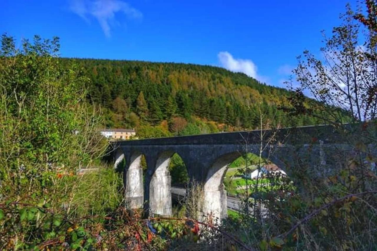 Selah Cottage, 21 Queen Street Pontrhydyfen Екстериор снимка