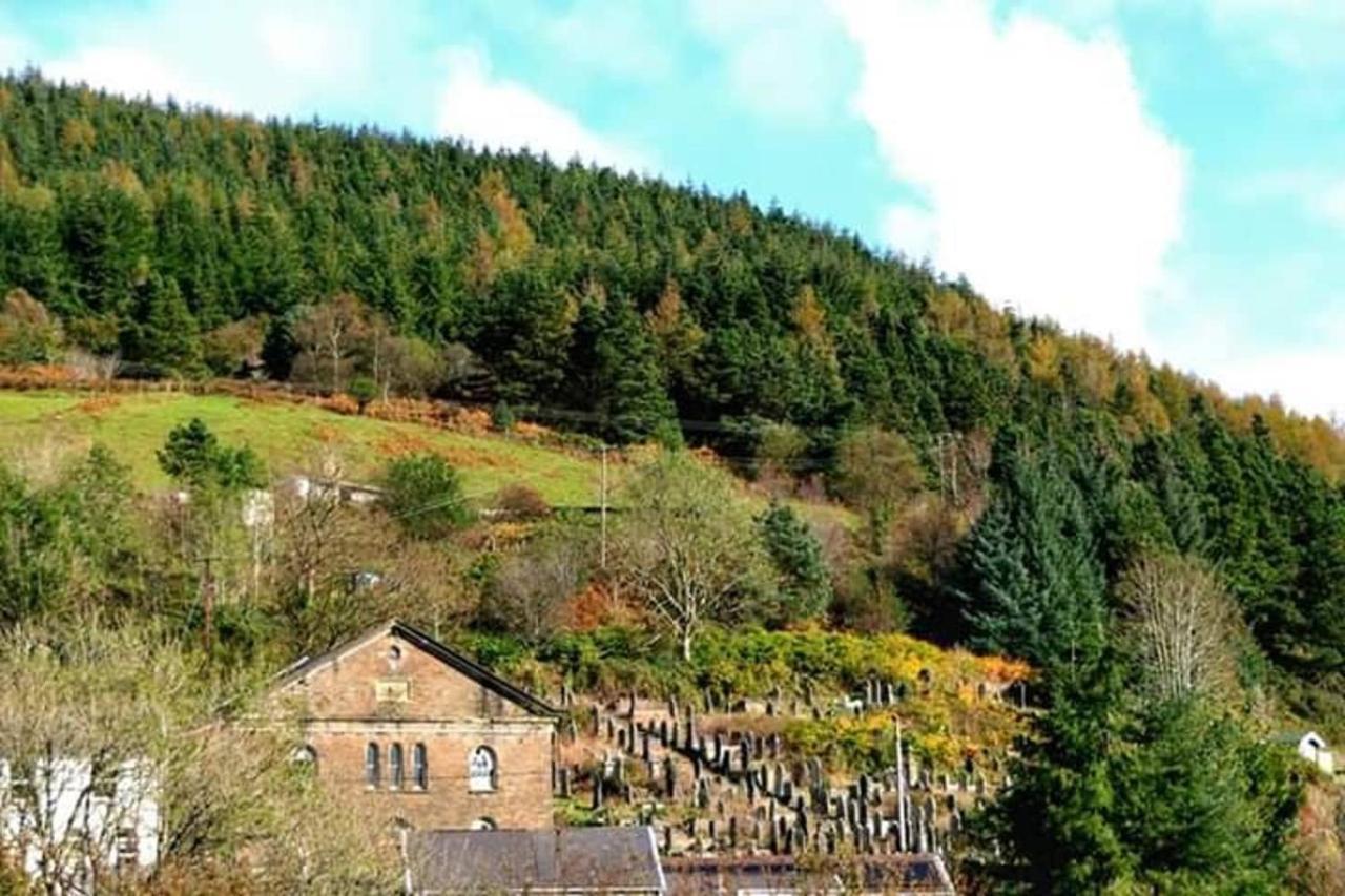 Selah Cottage, 21 Queen Street Pontrhydyfen Екстериор снимка