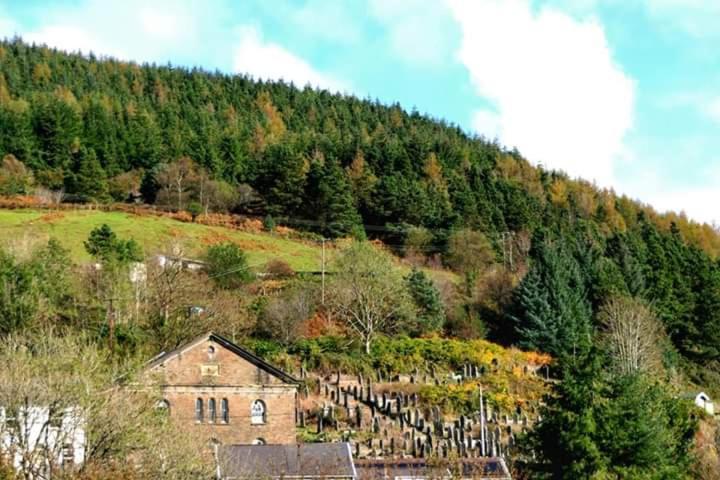 Selah Cottage, 21 Queen Street Pontrhydyfen Стая снимка