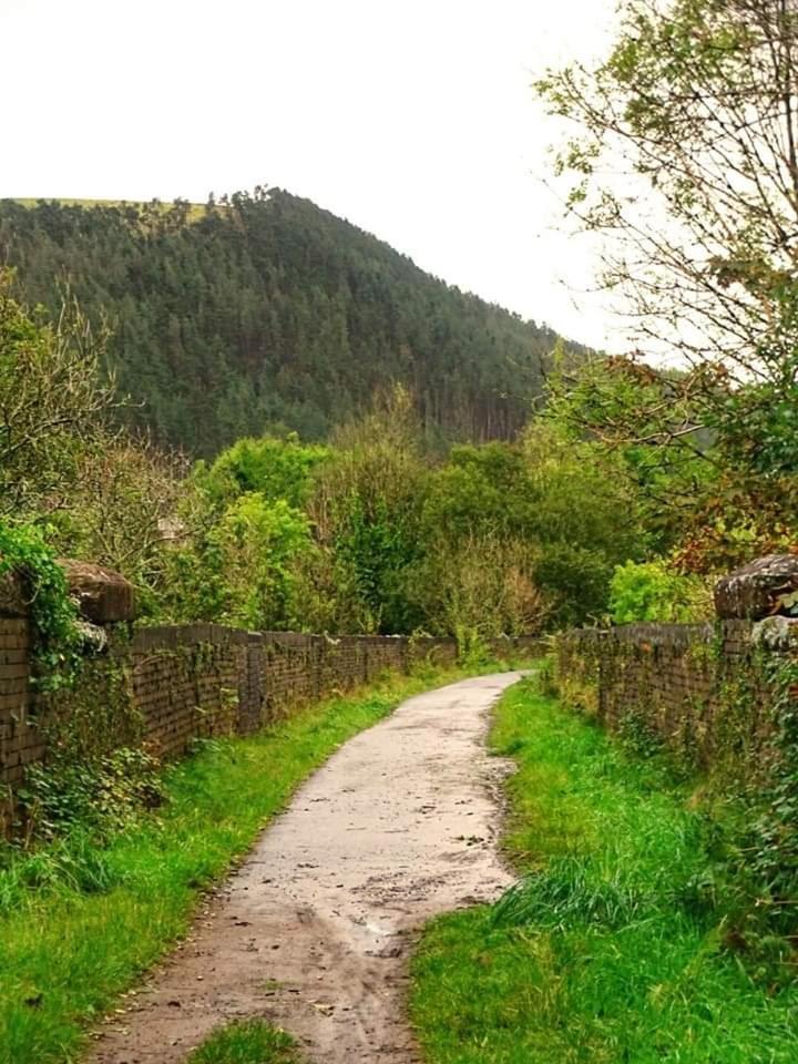 Selah Cottage, 21 Queen Street Pontrhydyfen Стая снимка