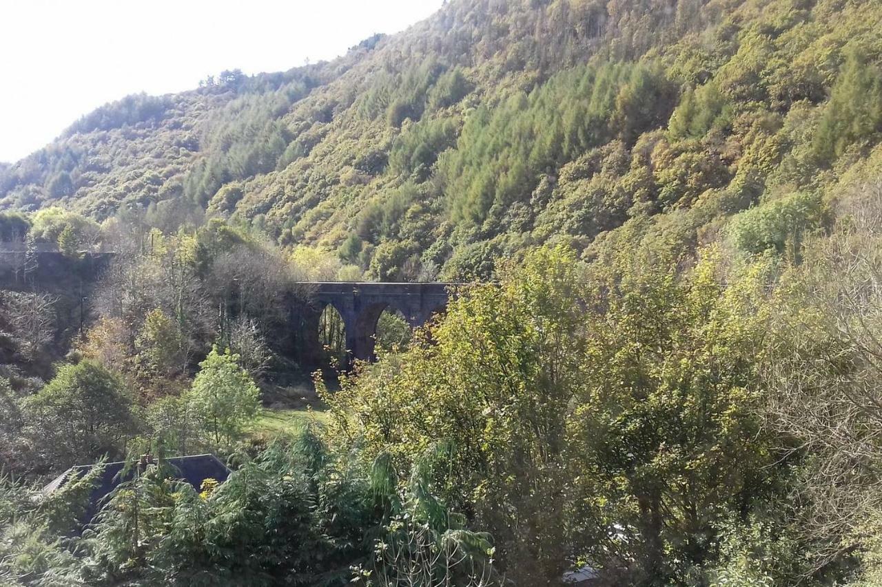 Selah Cottage, 21 Queen Street Pontrhydyfen Екстериор снимка