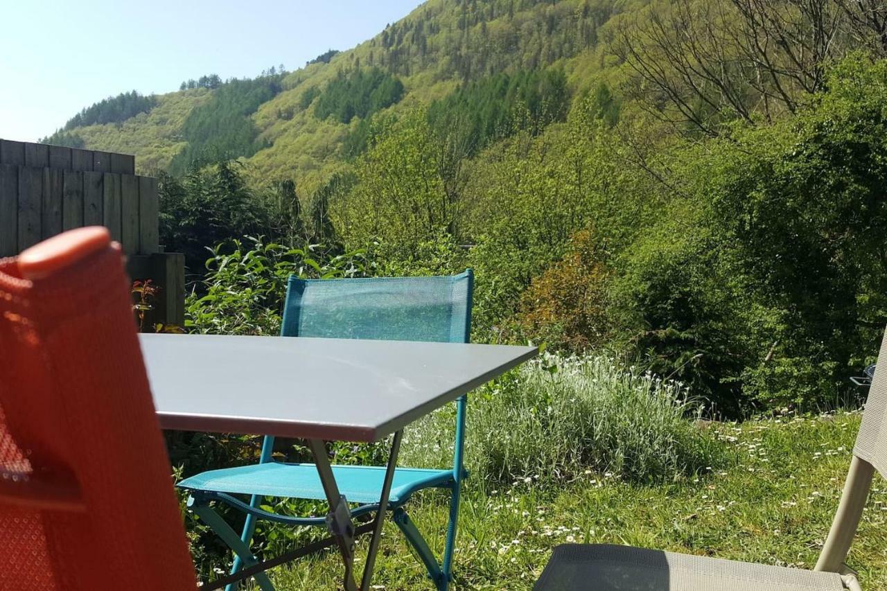 Selah Cottage, 21 Queen Street Pontrhydyfen Екстериор снимка