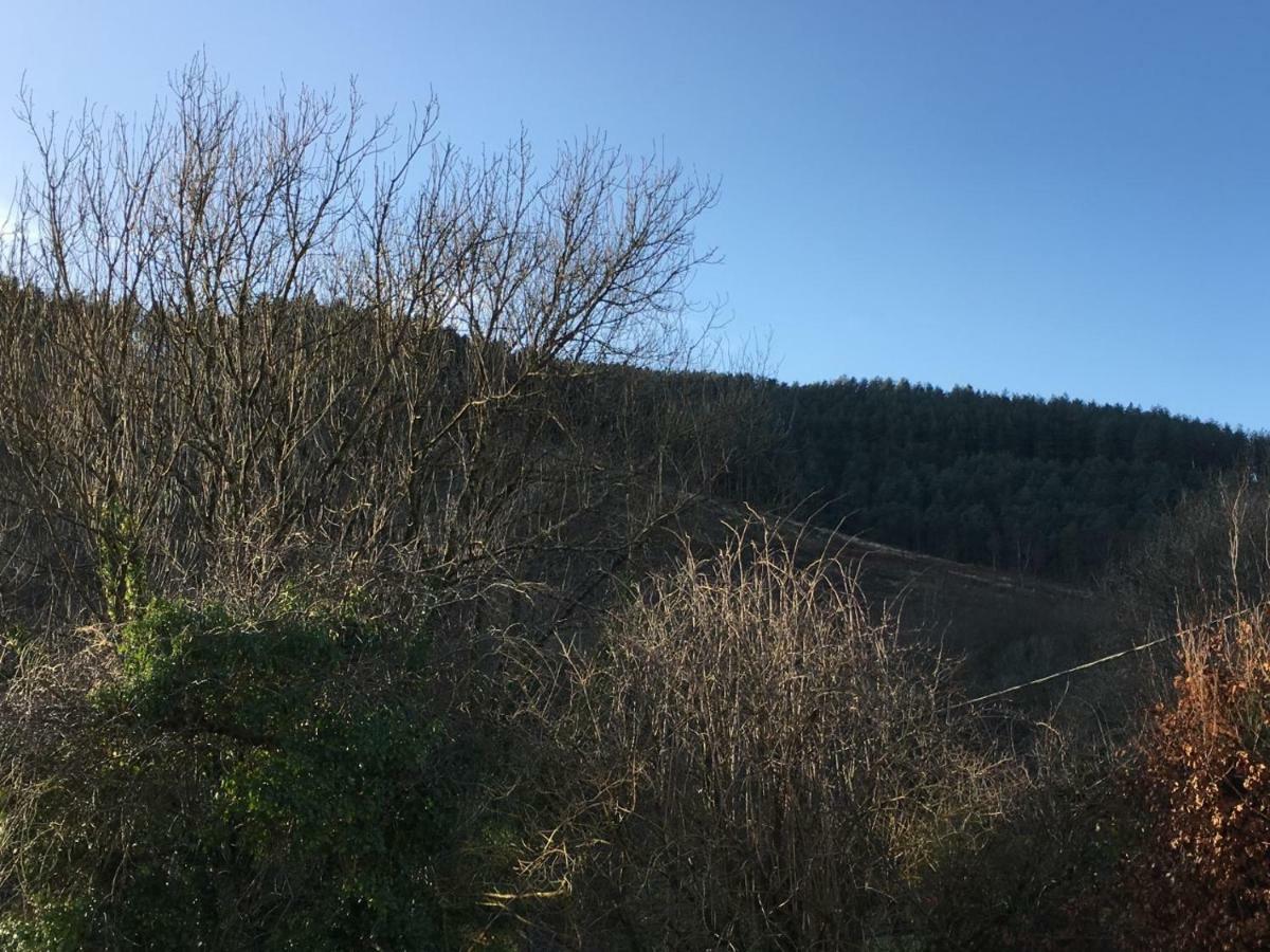Selah Cottage, 21 Queen Street Pontrhydyfen Екстериор снимка